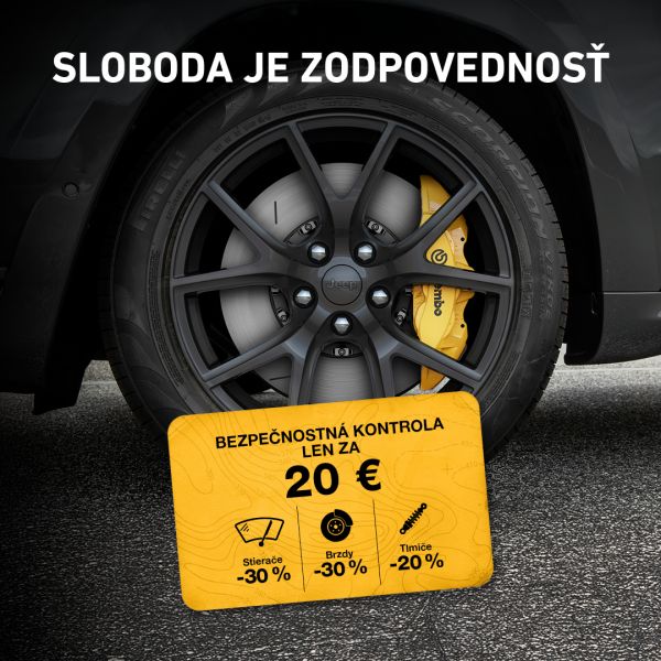 Bezpečnostná kontrola